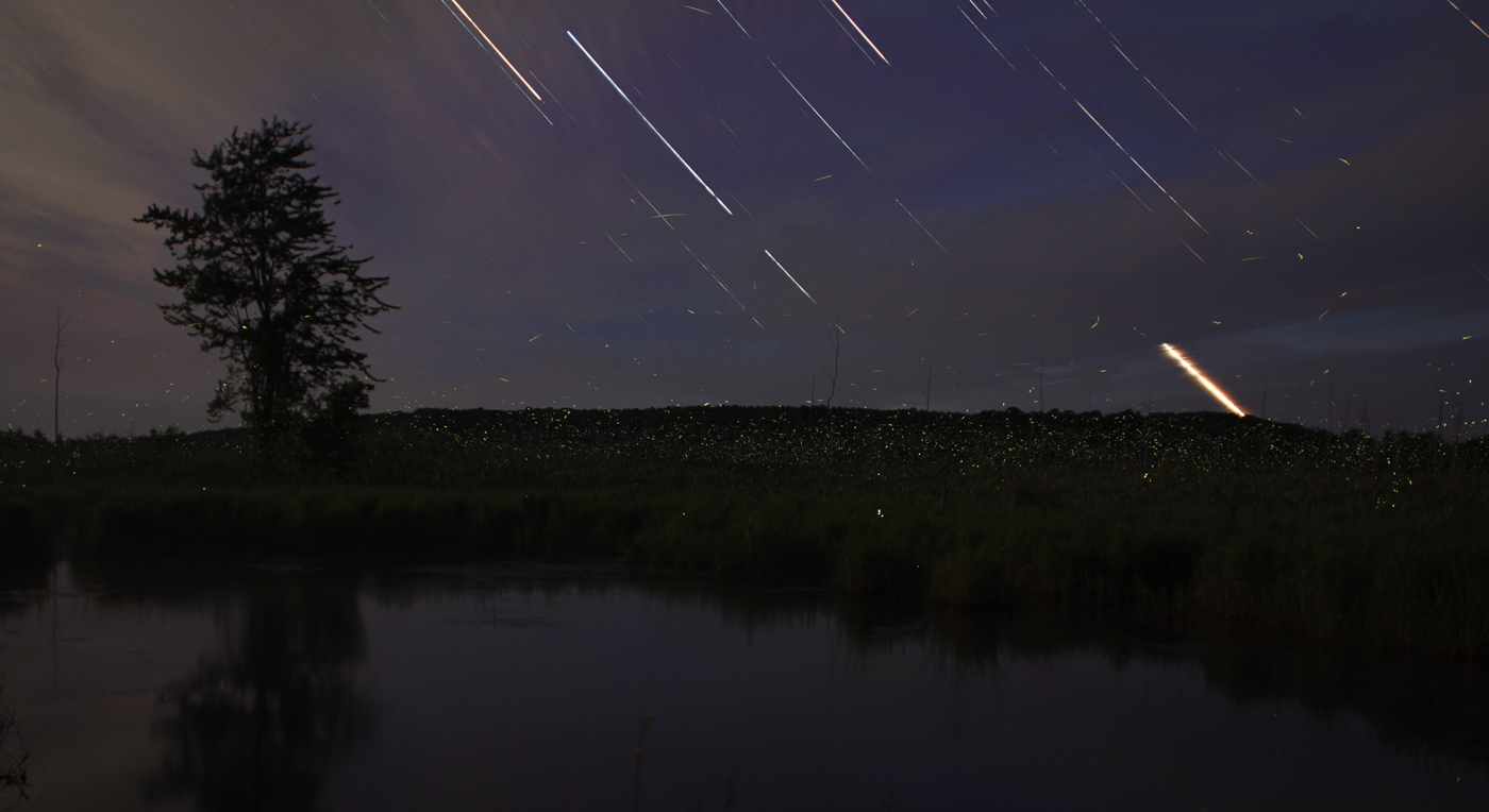 Star Trails Fireflies Pond
